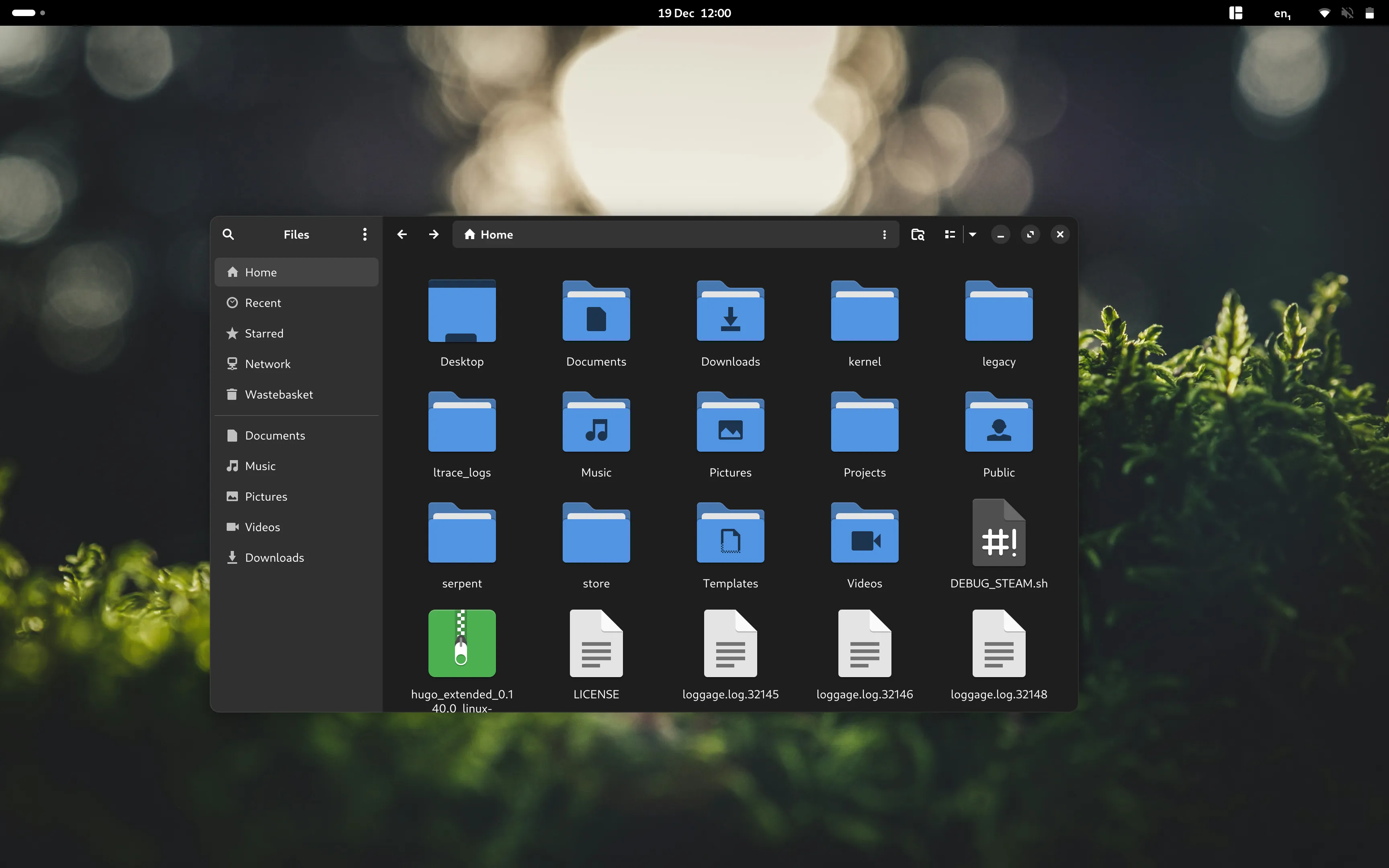 Screenshot of a Gnome desktop showing files open